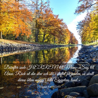 Picture 03 - 2 Mosebok 8:16 SV1917 - Därefter sade HERREN till Mose: »Säg till - Bible Verse Picture