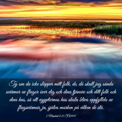 Picture 03 - 2 Mosebok 8:21 SV1917 - Ty om du icke släpper mitt folk, de, då skall - Bible Verse Picture