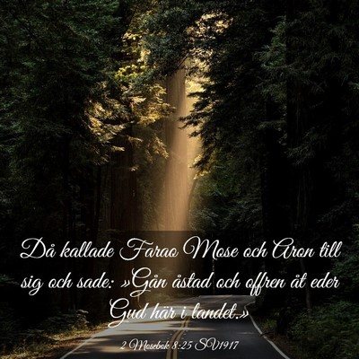 Picture 03 - 2 Mosebok 8:25 SV1917 - Då kallade Farao Mose och Aron till sig och - Bible Verse Picture