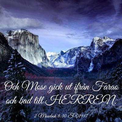 Picture 03 - 2 Mosebok 8:30 SV1917 - Och Mose gick ut ifrån Farao och bad till - Bible Verse Picture