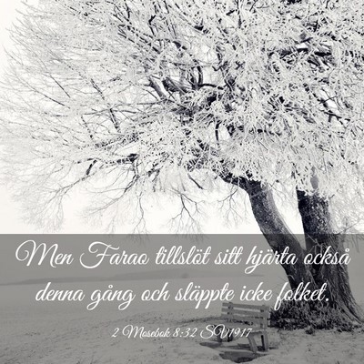 Picture 03 - 2 Mosebok 8:32 SV1917 - Men Farao tillslöt sitt hjärta också denna - Bible Verse Picture