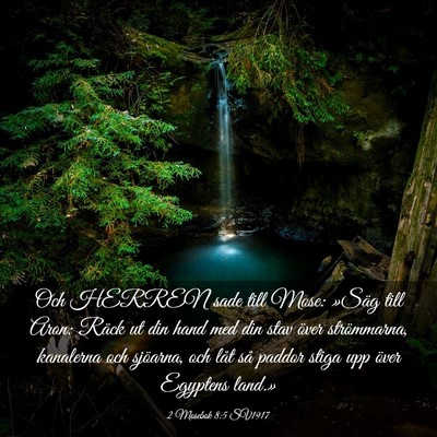 Picture 03 - 2 Mosebok 8:5 SV1917 - Och HERREN sade till Mose: »Säg till Aron: - Bible Verse Picture