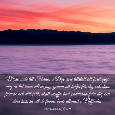 Picture 03 - 2 Mosebok 8:9 SV1917 - Mose sade till Farao: »Dig vare tillstatt att - Bible Verse Picture