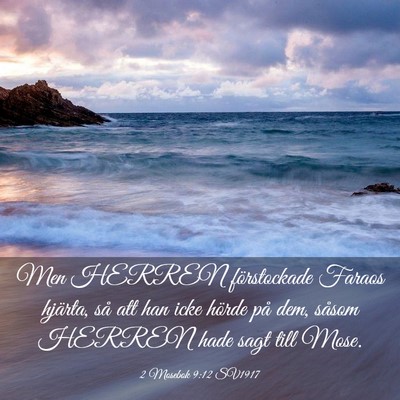 Picture 03 - 2 Mosebok 9:12 SV1917 - Men HERREN förstockade Faraos hjärta, så att - Bible Verse Picture