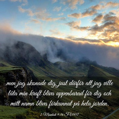 Picture 03 - 2 Mosebok 9:16 SV1917 - men jag skonade dig, just därför att jag ville - Bible Verse Picture