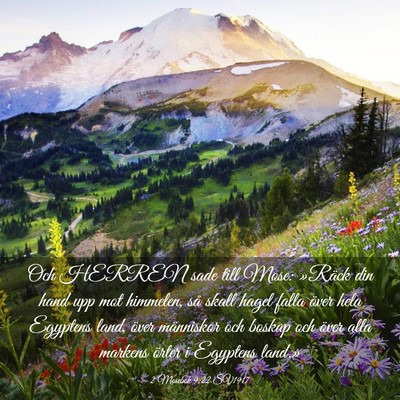 Picture 03 - 2 Mosebok 9:22 SV1917 - Och HERREN sade till Mose: »Räck din hand upp - Bible Verse Picture