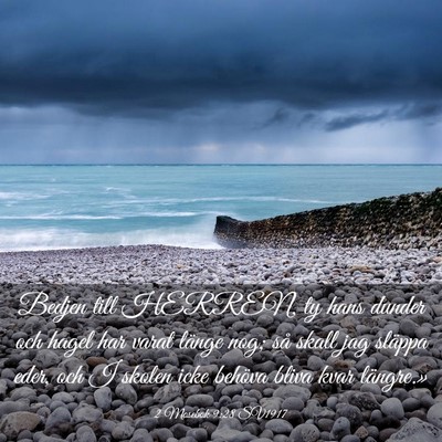 Picture 03 - 2 Mosebok 9:28 SV1917 - Bedjen till HERREN, ty hans dunder och hagel har - Bible Verse Picture