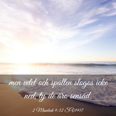 Picture 03 - 2 Mosebok 9:32 SV1917 - men vetet och spälten slogos icke ned, ty de - Bible Verse Picture