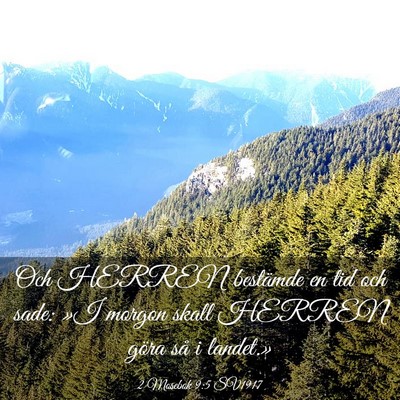 Picture 03 - 2 Mosebok 9:5 SV1917 - Och HERREN bestämde en tid och sade: »I morgon - Bible Verse Picture