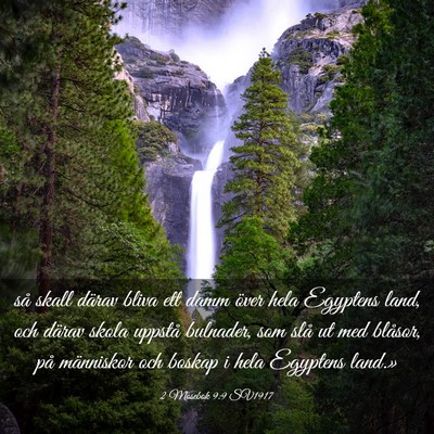 Picture 03 - 2 Mosebok 9:9 SV1917 - så skall därav bliva ett damm över hela - Bible Verse Picture