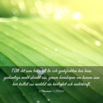 Picture 03 - 2 Petrusbrevet 1:3 SV1917 - Allt det som leder till liv och gudsfruktan har - Bible Verse Picture