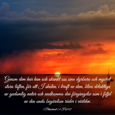 Picture 03 - 2 Petrusbrevet 1:4 SV1917 - Genom dem har han ock skänkt oss sina dyrbara - Bible Verse Picture