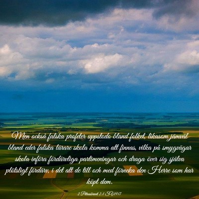 Picture 03 - 2 Petrusbrevet 2:1 SV1917 - Men också falska profeter uppstodo bland folket, - Bible Verse Picture
