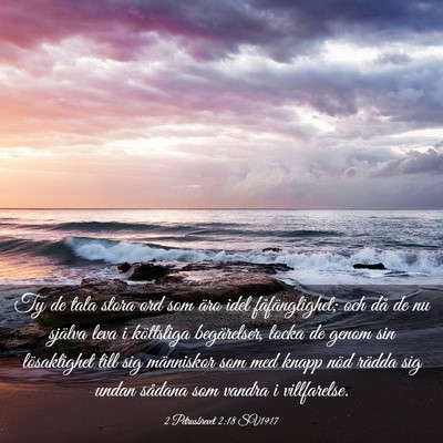Picture 03 - 2 Petrusbrevet 2:18 SV1917 - Ty de tala stora ord som äro idel - Bible Verse Picture