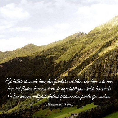 Picture 03 - 2 Petrusbrevet 2:5 SV1917 - Ej heller skonade han den forntida världen, om - Bible Verse Picture