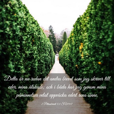 Picture 03 - 2 Petrusbrevet 3:1 SV1917 - Detta är nu redan det andra brevet som jag - Bible Verse Picture