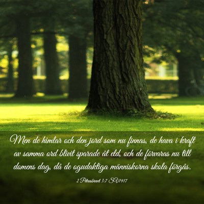 Picture 03 - 2 Petrusbrevet 3:7 SV1917 - Men de himlar och den jord som nu finnas, de hava - Bible Verse Picture