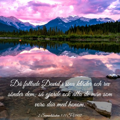 Picture 03 - 2 Samuelsboken 1:11 SV1917 - Då fattade David i sina kläder och rev sönder - Bible Verse Picture