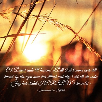 Picture 03 - 2 Samuelsboken 1:16 SV1917 - Och David sade till honom: »Ditt blod komme - Bible Verse Picture