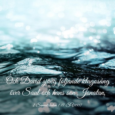Picture 03 - 2 Samuelsboken 1:17 SV1917 - Och David sjöng följande klagosång över Saul - Bible Verse Picture