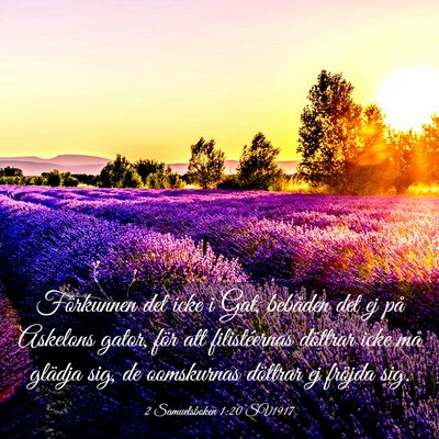 Picture 03 - 2 Samuelsboken 1:20 SV1917 - Förkunnen det icke i Gat, bebåden det ej på - Bible Verse Picture