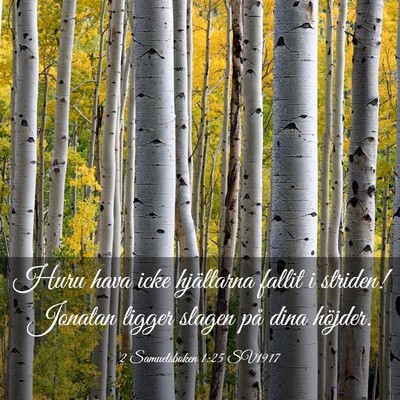 Picture 03 - 2 Samuelsboken 1:25 SV1917 - Huru hava icke hjältarna fallit i striden! - Bible Verse Picture