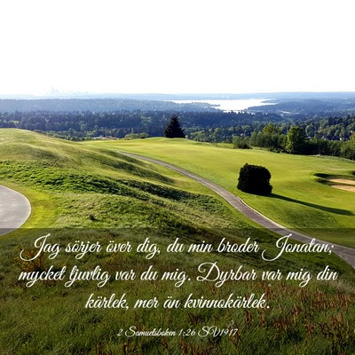 Picture 03 - 2 Samuelsboken 1:26 SV1917 - Jag sörjer över dig, du min broder Jonatan; - Bible Verse Picture