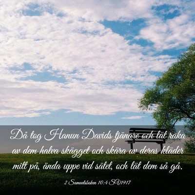 Picture 03 - 2 Samuelsboken 10:4 SV1917 - Då tog Hanun Davids tjänare och lät raka av - Bible Verse Picture
