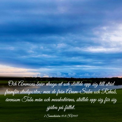 Picture 03 - 2 Samuelsboken 10:8 SV1917 - Och Ammons barn drogo ut och ställde upp sig - Bible Verse Picture