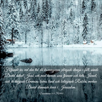 Picture 03 - 2 Samuelsboken 11:1 SV1917 - Följande år, vid den tid då konungarna - Bible Verse Picture