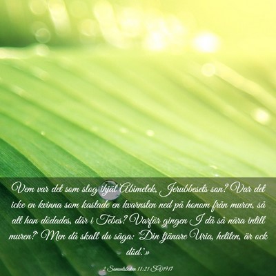 Picture 03 - 2 Samuelsboken 11:21 SV1917 - Vem var det som slog ihjäl Abimelek, Jerubbesets - Bible Verse Picture
