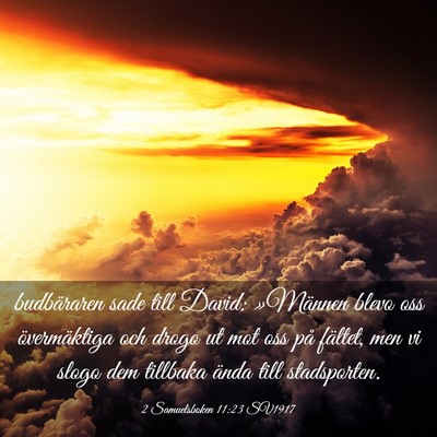 Picture 03 - 2 Samuelsboken 11:23 SV1917 - budbäraren sade till David: »Männen blevo oss - Bible Verse Picture