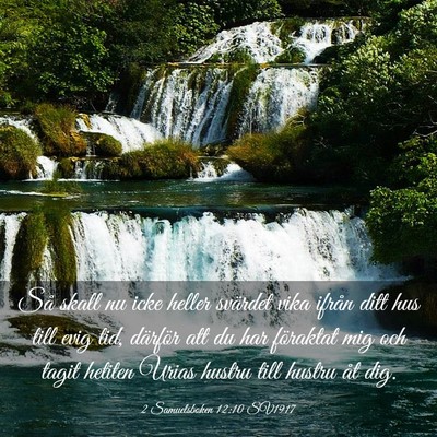 Picture 03 - 2 Samuelsboken 12:10 SV1917 - Så skall nu icke heller svärdet vika ifrån - Bible Verse Picture