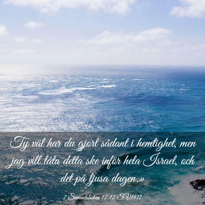 Picture 03 - 2 Samuelsboken 12:12 SV1917 - Ty väl har du gjort sådant i hemlighet, men jag - Bible Verse Picture
