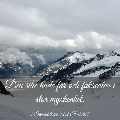 Picture 03 - 2 Samuelsboken 12:2 SV1917 - Den rike hade får och fäkreatur i stor - Bible Verse Picture