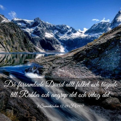 Picture 03 - 2 Samuelsboken 12:29 SV1917 - Då församlade David allt folket och tågade - Bible Verse Picture