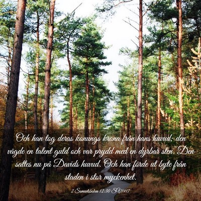 Picture 03 - 2 Samuelsboken 12:30 SV1917 - Och han tog deras konungs krona från hans huvud; - Bible Verse Picture