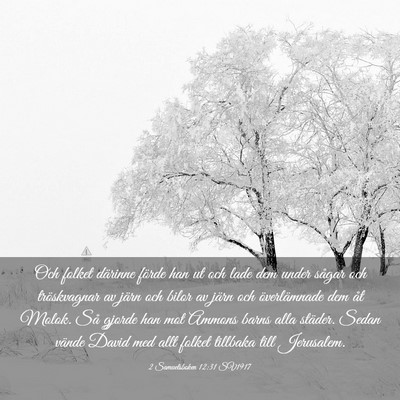 Picture 03 - 2 Samuelsboken 12:31 SV1917 - Och folket därinne förde han ut och lade dem - Bible Verse Picture