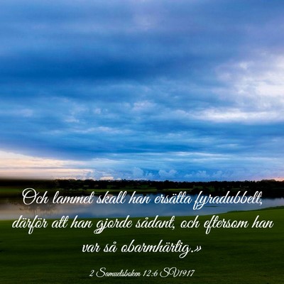 Picture 03 - 2 Samuelsboken 12:6 SV1917 - Och lammet skall han ersätta fyradubbelt, - Bible Verse Picture
