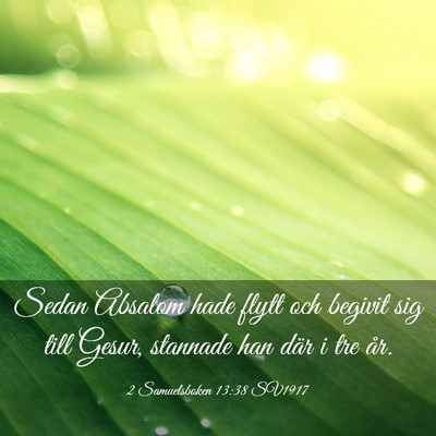 Picture 03 - 2 Samuelsboken 13:38 SV1917 - Sedan Absalom hade flytt och begivit sig till - Bible Verse Picture