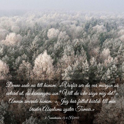 Picture 03 - 2 Samuelsboken 13:4 SV1917 - Denne sade nu till honom: »Varför ser du var - Bible Verse Picture