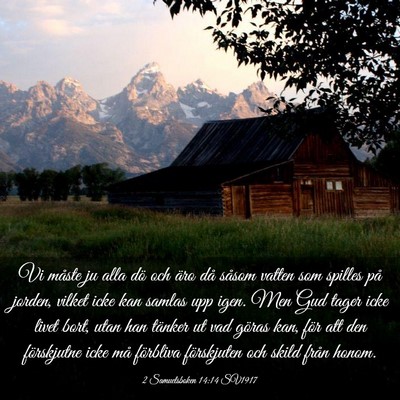 Picture 03 - 2 Samuelsboken 14:14 SV1917 - Vi måste ju alla dö och äro då såsom vatten - Bible Verse Picture
