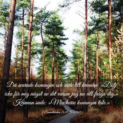 Picture 03 - 2 Samuelsboken 14:18 SV1917 - Då svarade konungen och sade till kvinnan: - Bible Verse Picture