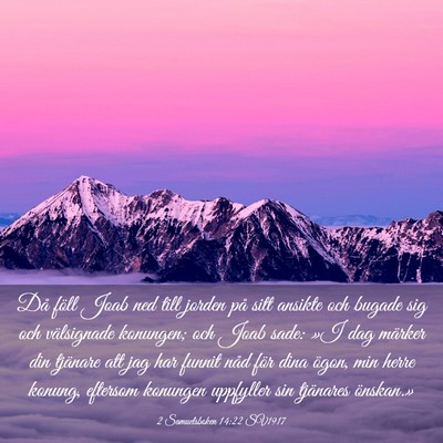 Picture 03 - 2 Samuelsboken 14:22 SV1917 - Då föll Joab ned till jorden på sitt ansikte - Bible Verse Picture