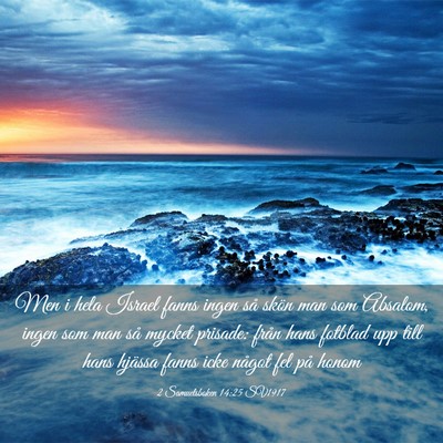 Picture 03 - 2 Samuelsboken 14:25 SV1917 - Men i hela Israel fanns ingen så skön man som - Bible Verse Picture