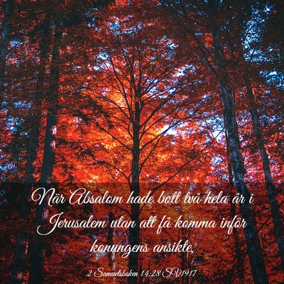 Picture 03 - 2 Samuelsboken 14:28 SV1917 - När Absalom hade bott två hela år i Jerusalem - Bible Verse Picture
