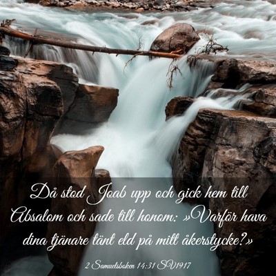 Picture 03 - 2 Samuelsboken 14:31 SV1917 - Då stod Joab upp och gick hem till Absalom och - Bible Verse Picture