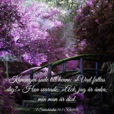 Picture 03 - 2 Samuelsboken 14:5 SV1917 - Konungen sade till henne: »Vad fattas dig?» Hon - Bible Verse Picture