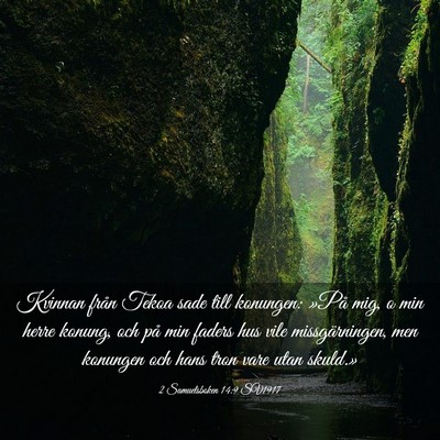 Picture 03 - 2 Samuelsboken 14:9 SV1917 - Kvinnan från Tekoa sade till konungen: »På - Bible Verse Picture
