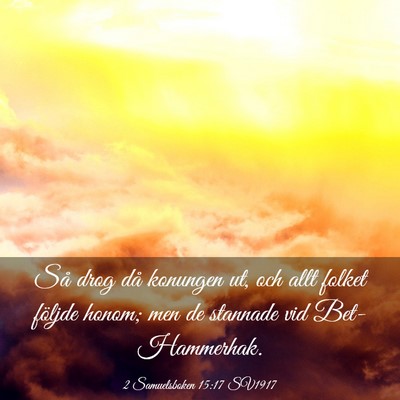 Picture 03 - 2 Samuelsboken 15:17 SV1917 - Så drog då konungen ut, och allt folket följde - Bible Verse Picture